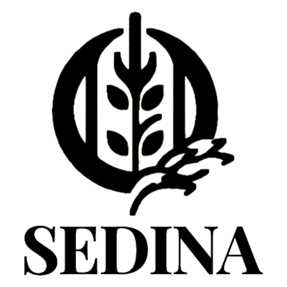 Sedina