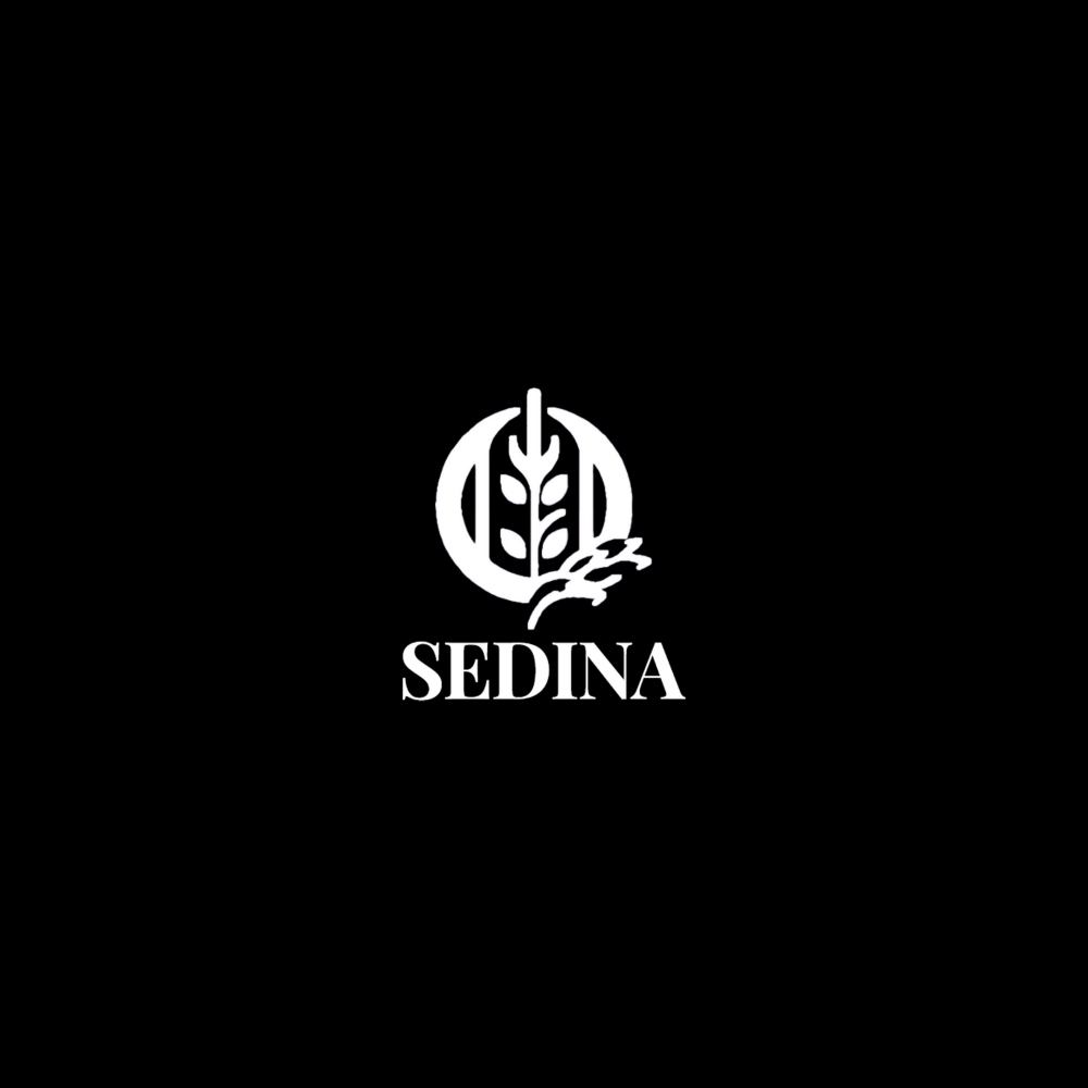 Sedina