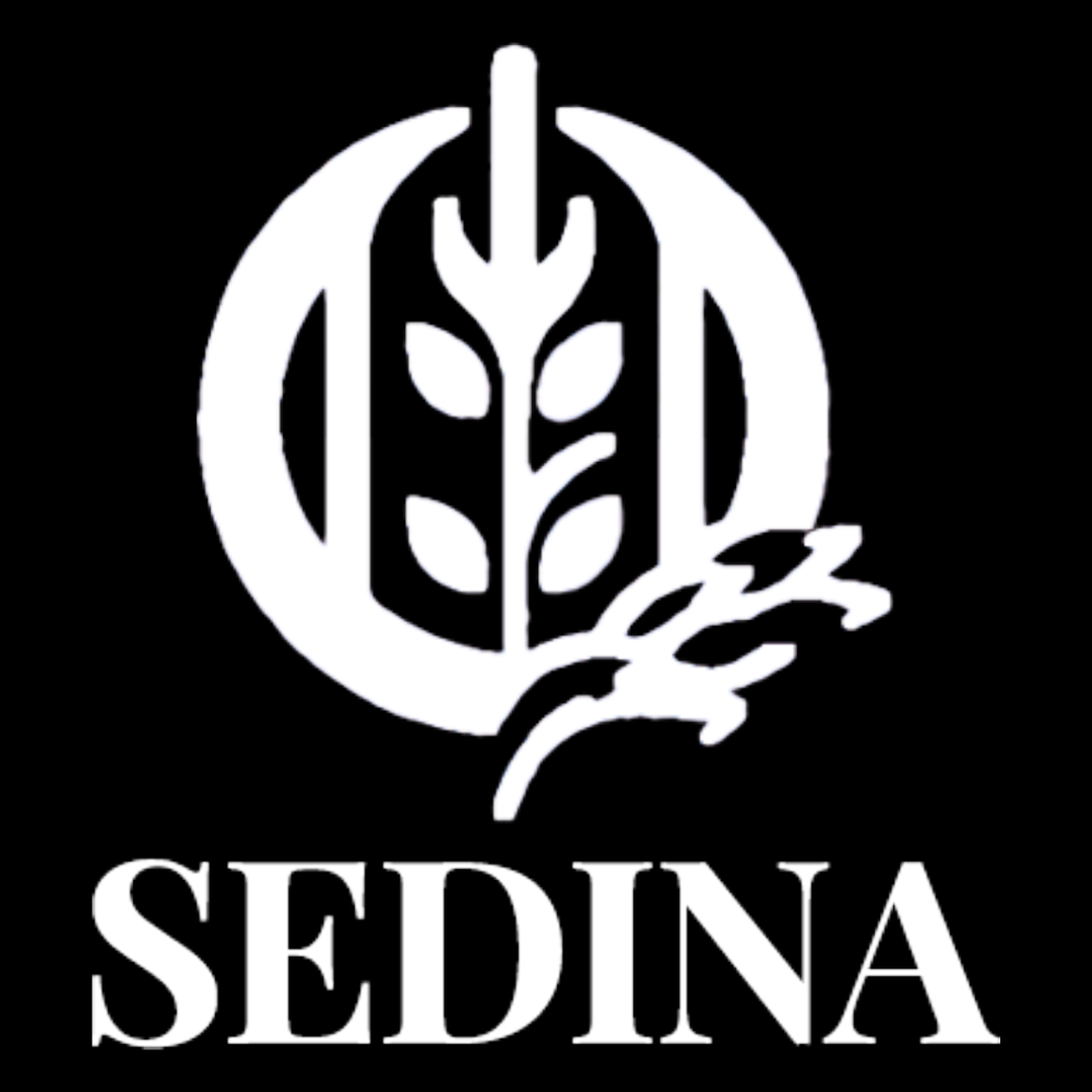 Sedina